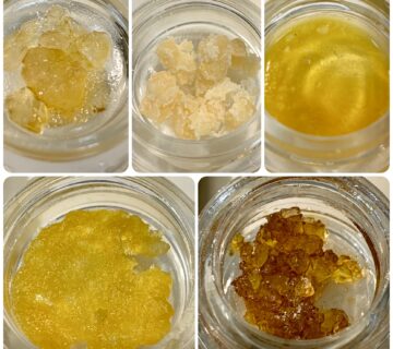 Producing Cannabis Concentrates